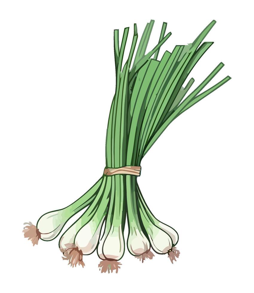 spring onion vegetables, perfect for healthy eating icon isolated vector