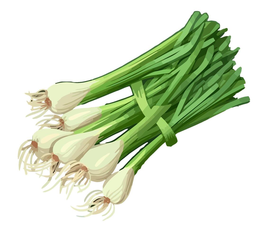 Fresh spring onion vegetables, healthy meal icon isolated vector