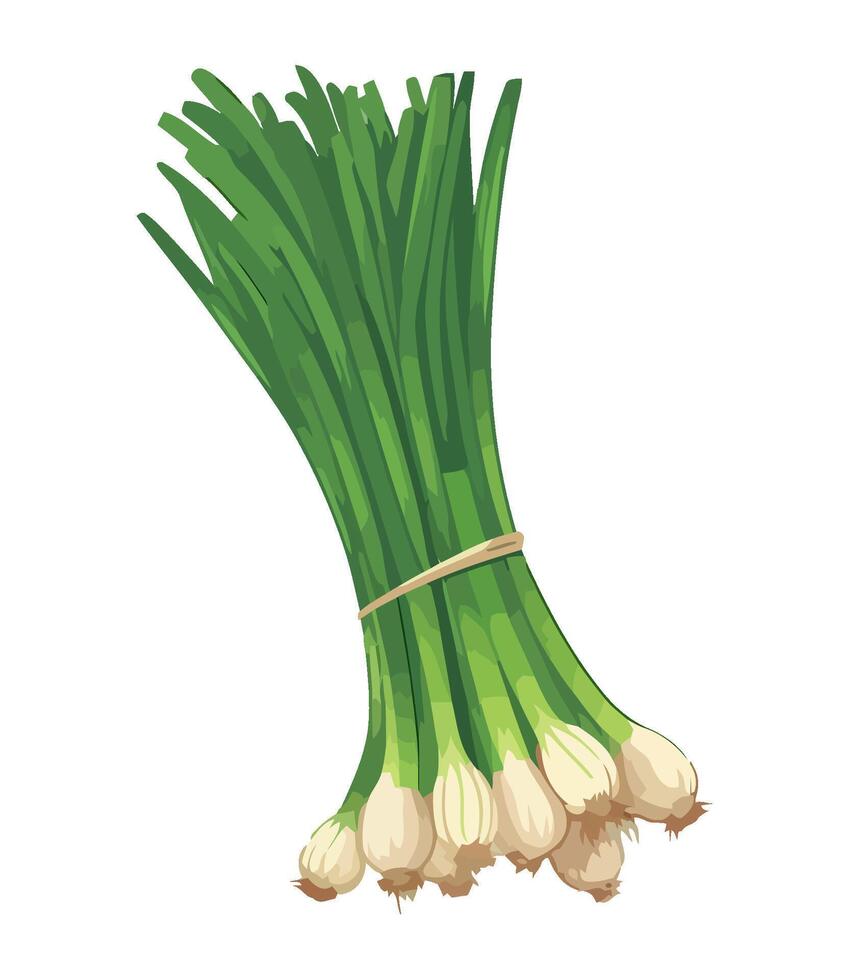 Healthy eating with fresh organic vegetables onion icon isolated vector