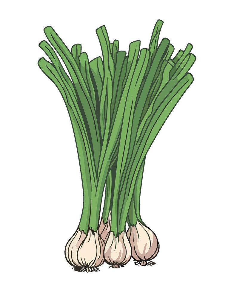 Fresh vegetables spring onion, healthy gourmet meal icon isolated vector