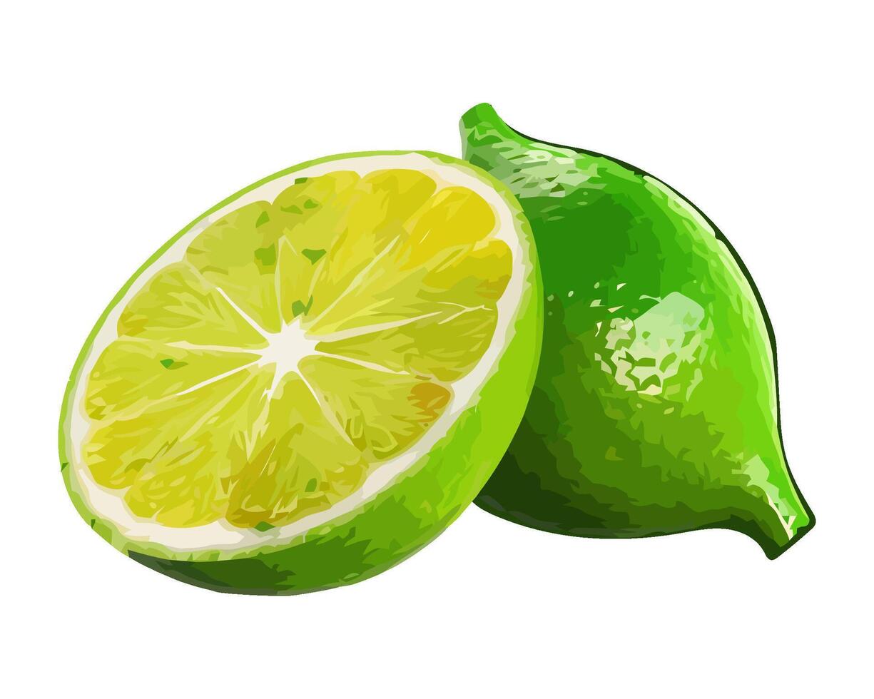 Juicy citrus slices, fresh and ripe, healthy eating icon isolated vector