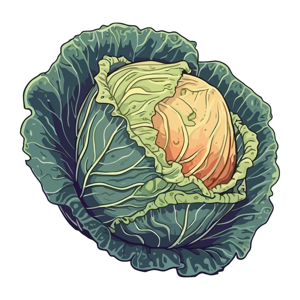 Fresh kale salad, healthy vegetarian meal option icon isolated vector