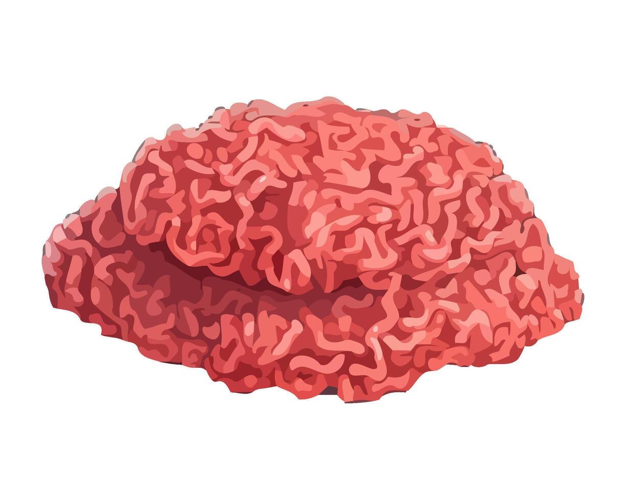 fresh ground meat meal on white background icon isolated vector