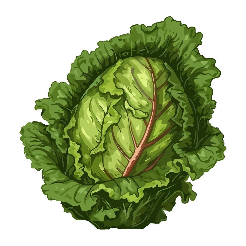 Fresh kale salad, a healthy vegetarian meal icon isolated vector