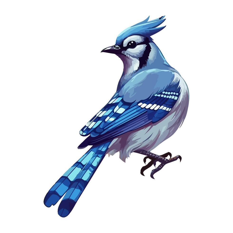 Cute Small blue jay on white background icon isolated vector