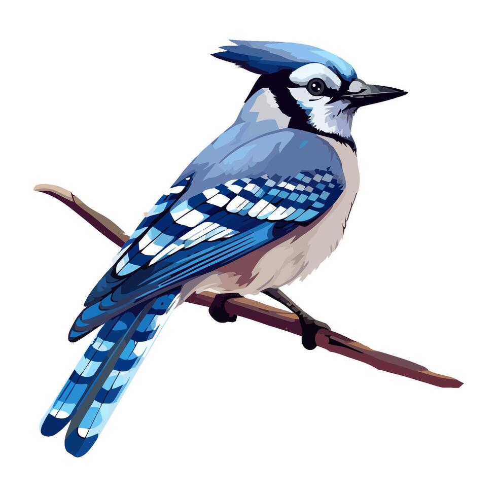 Small blue jay perching on branch icon isolated vector