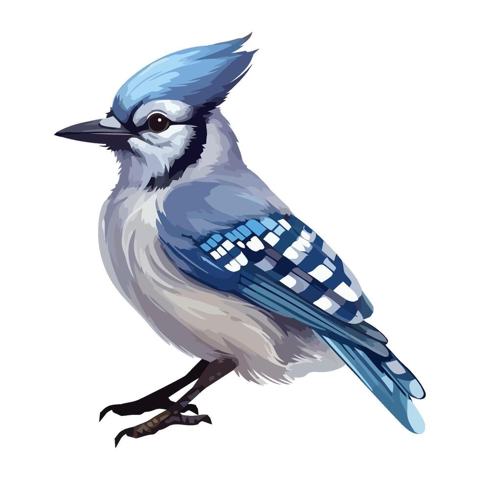 Small blue jay, feathers freedom icon isolated vector