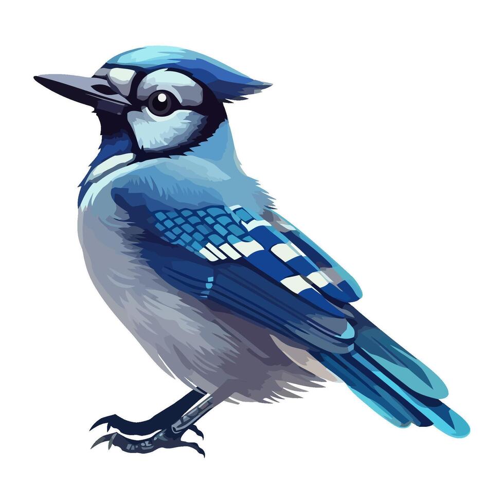cartoon blue jay bird nature icon isolated vector
