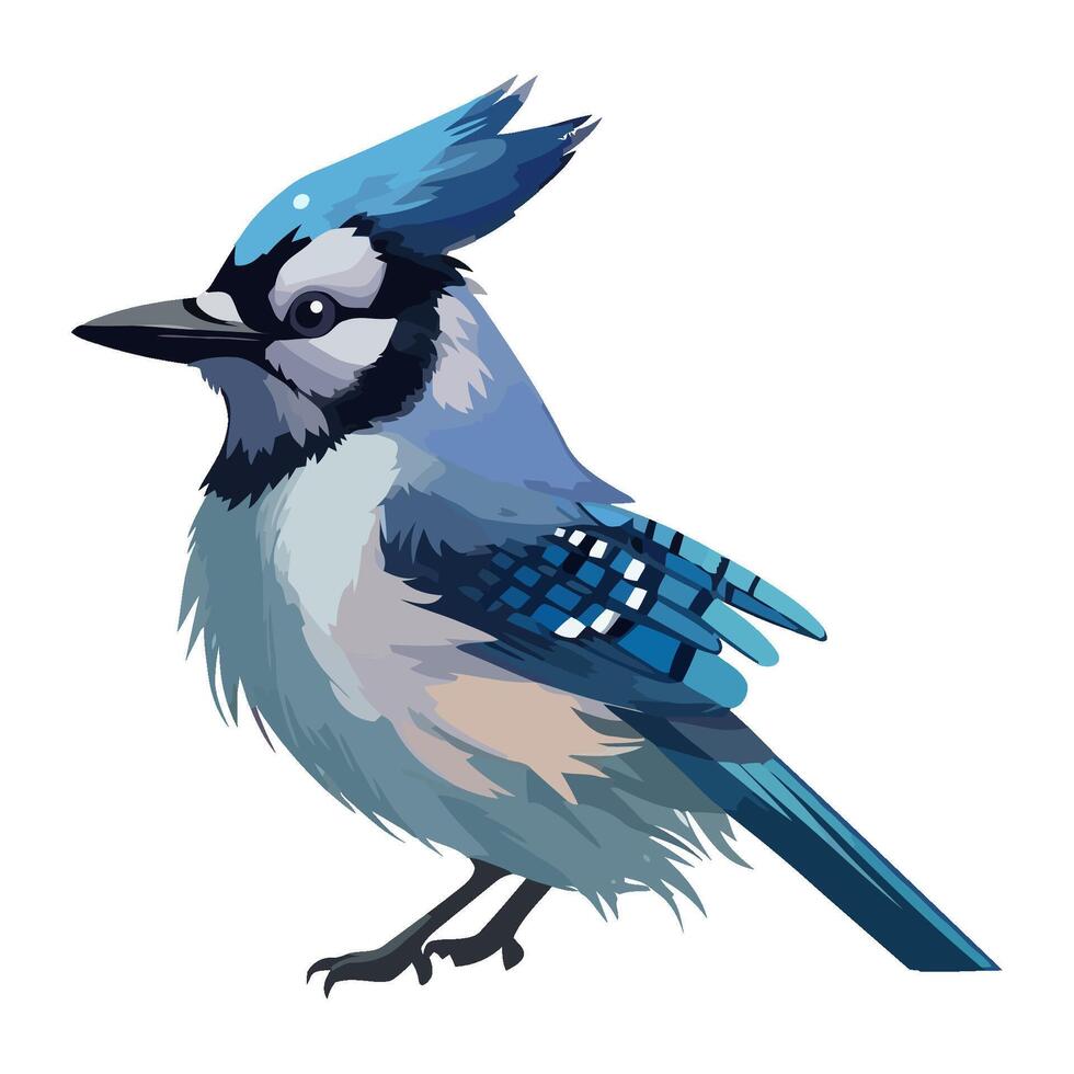 Small blue jay bird icon isolated vector