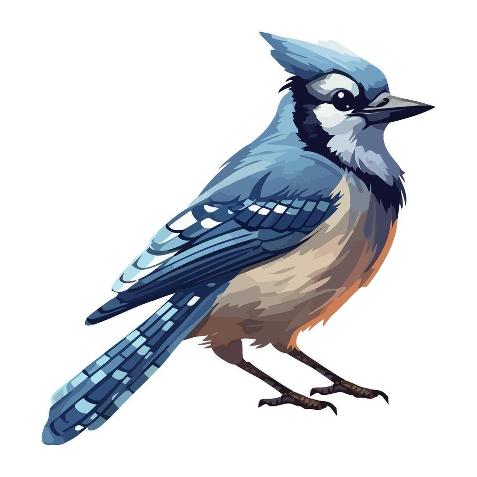 Cute blue jay bird animal icon isolated vector