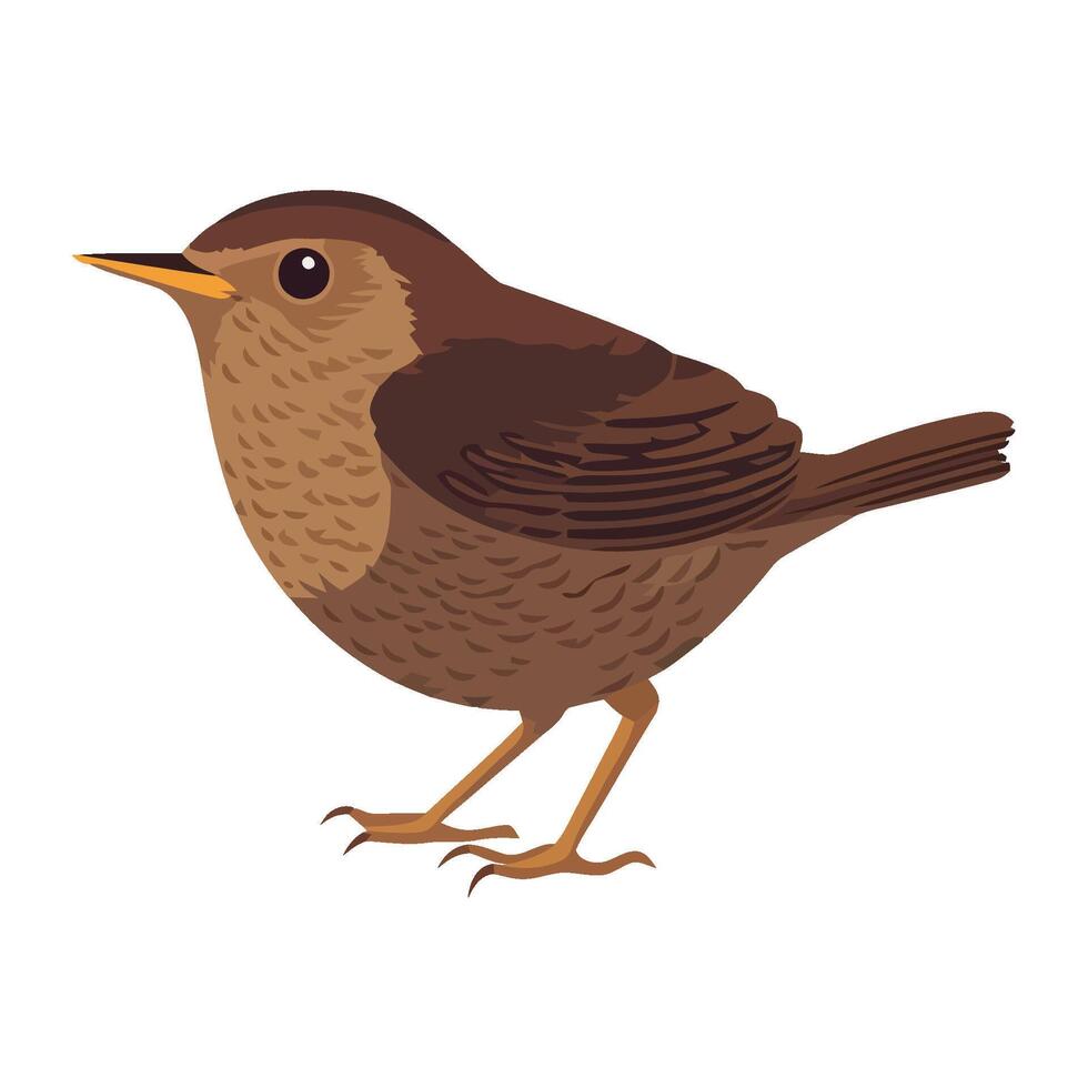 Small bird with beak and brown feather icon isolated vector
