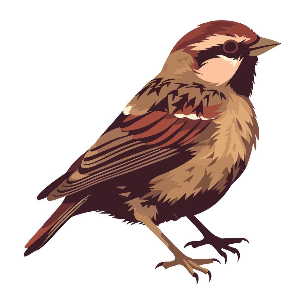 Small sparrow bird, cute animal icon isolated vector