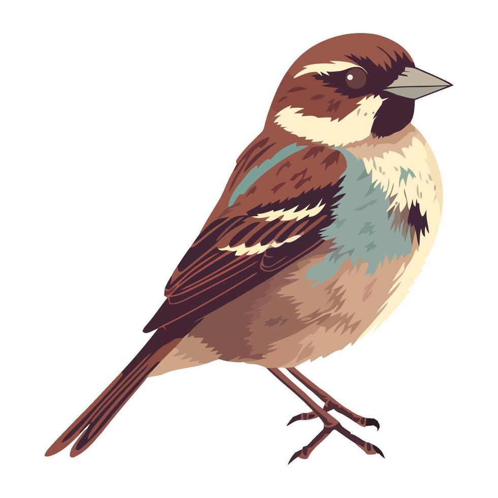 Small sparrow bird cute animal icon isolated vector