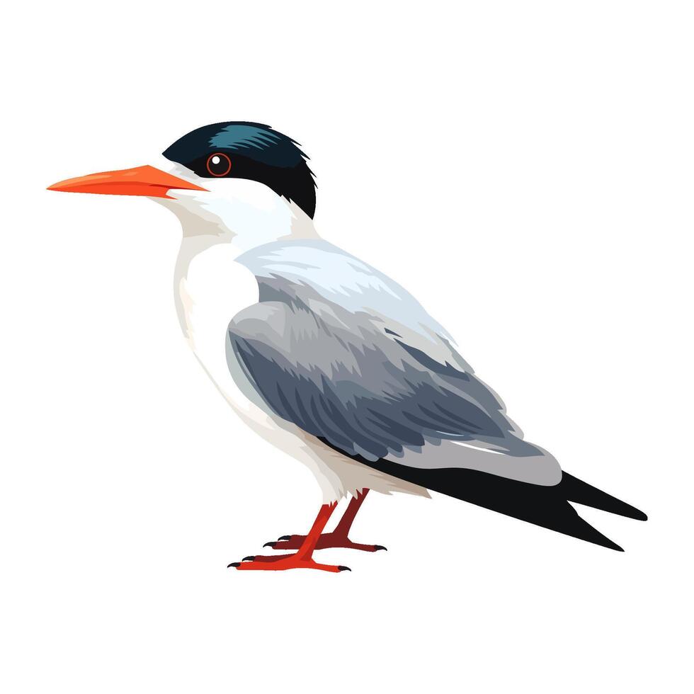 Cute seagull flying over tropical branch perch icon isolated vector