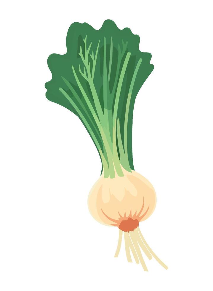Fresh organic vegetables, healthy meal for diet icon isolated vector