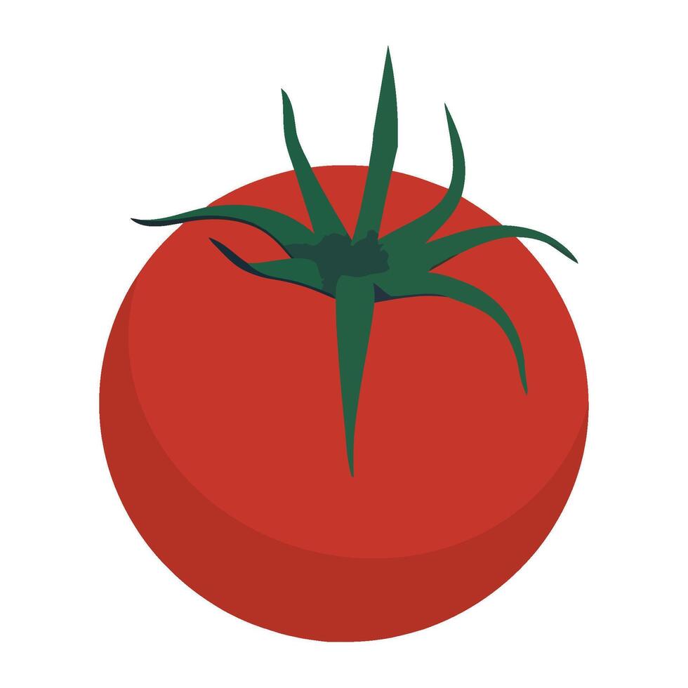 Juicy organic tomato, fresh from the farm icon isolated vector