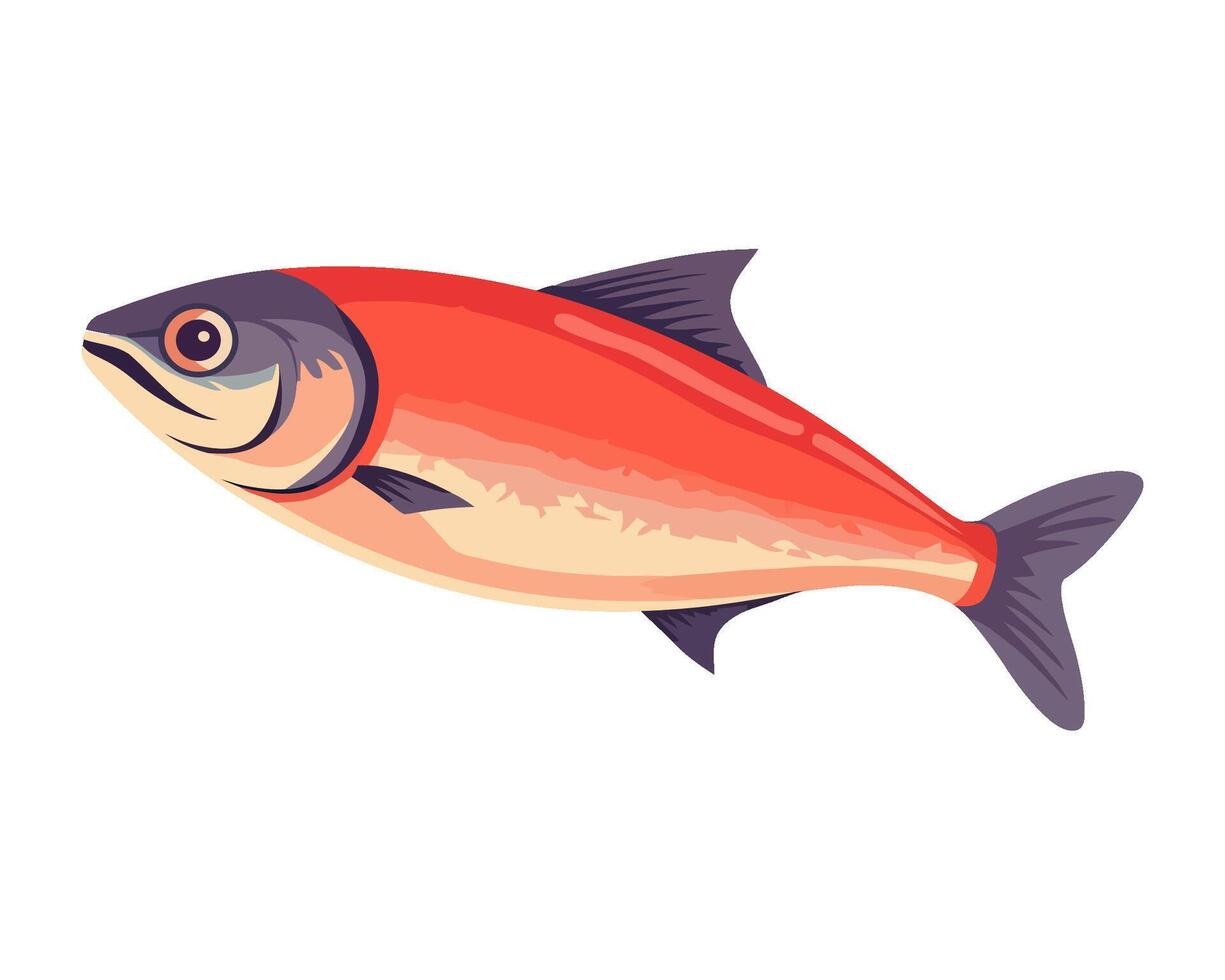 Swimming carp in nature, a gourmet meal icon isolated vector