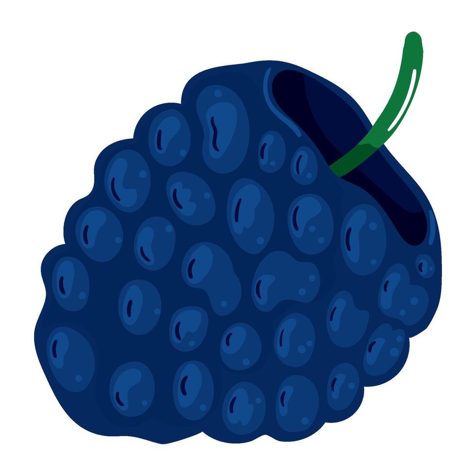 blueberry fresh fruit icon design isolated vector