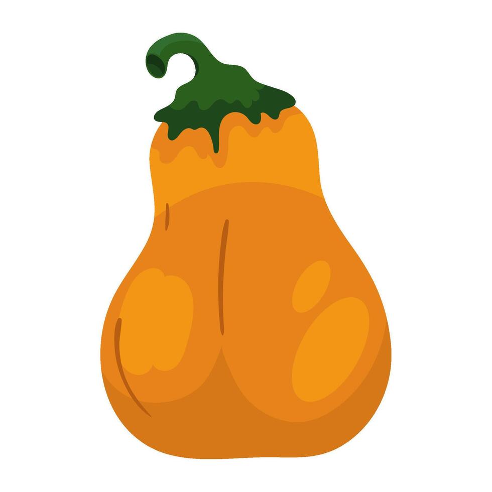pumpkin vegetable isolated illustration design vector