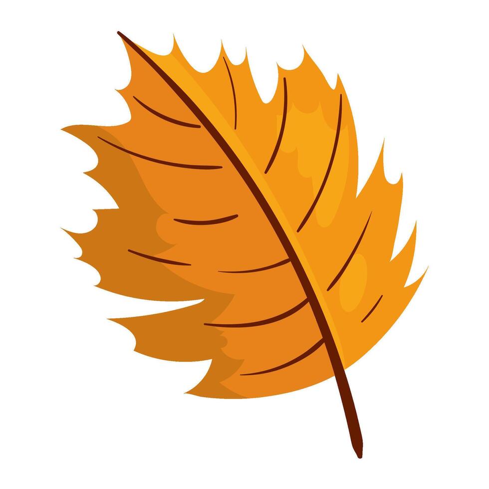 autumn leaf illustration design isolated vector