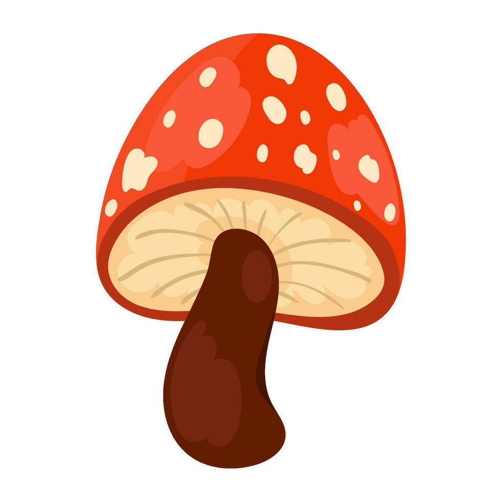 mushroom autumn nature isolated illustration vector