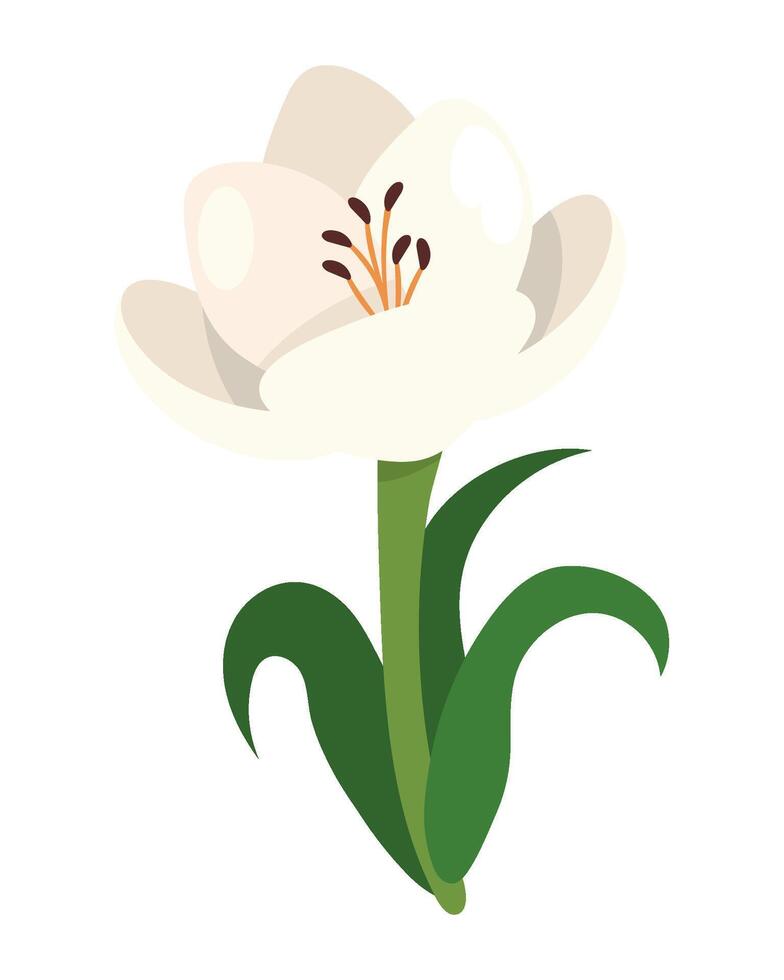 Flower nature icon isolated illustration vector