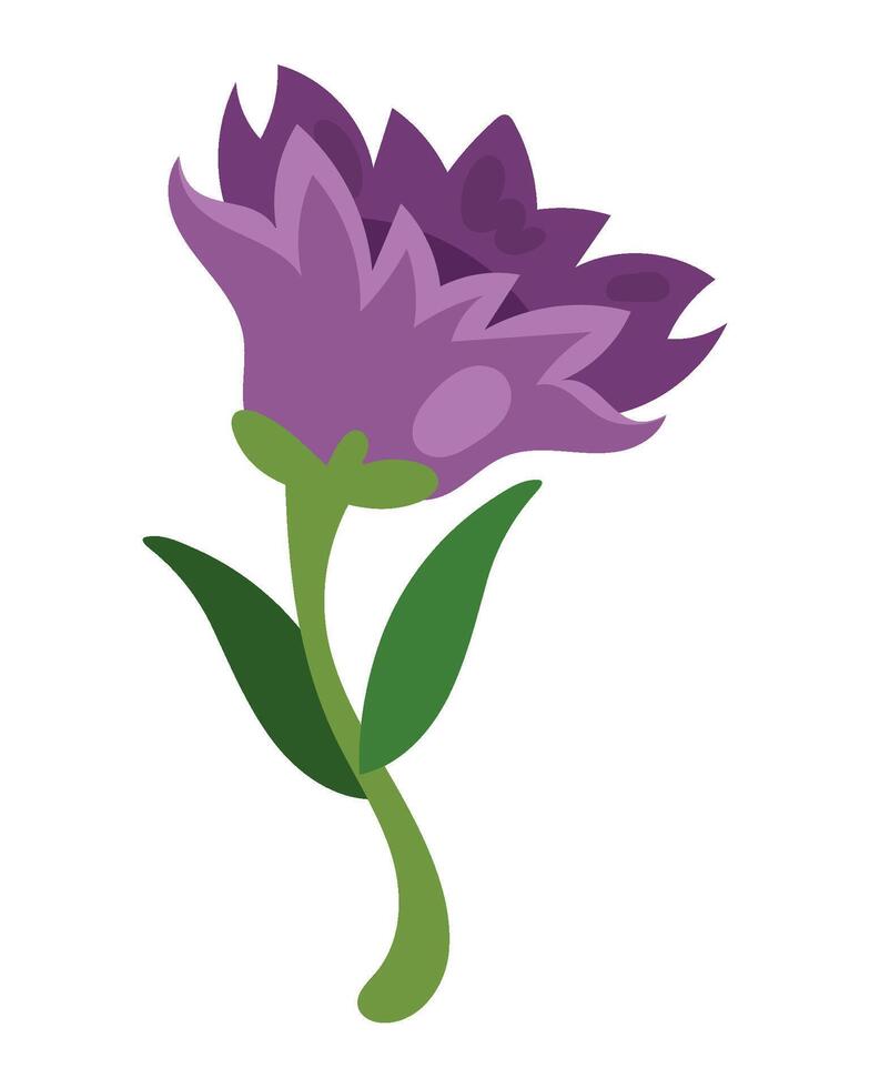 Flower natural leaf icon isolated illustration vector