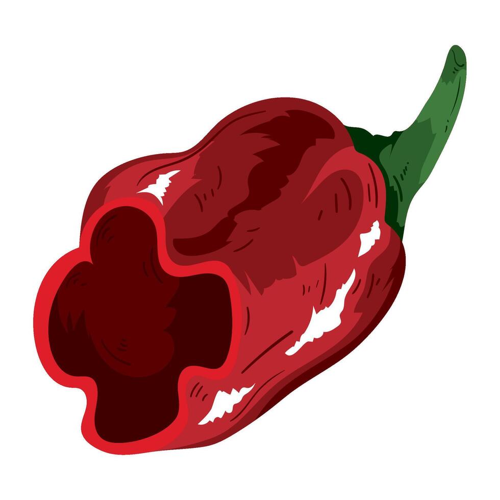 half jalapeno icon isolated design vector