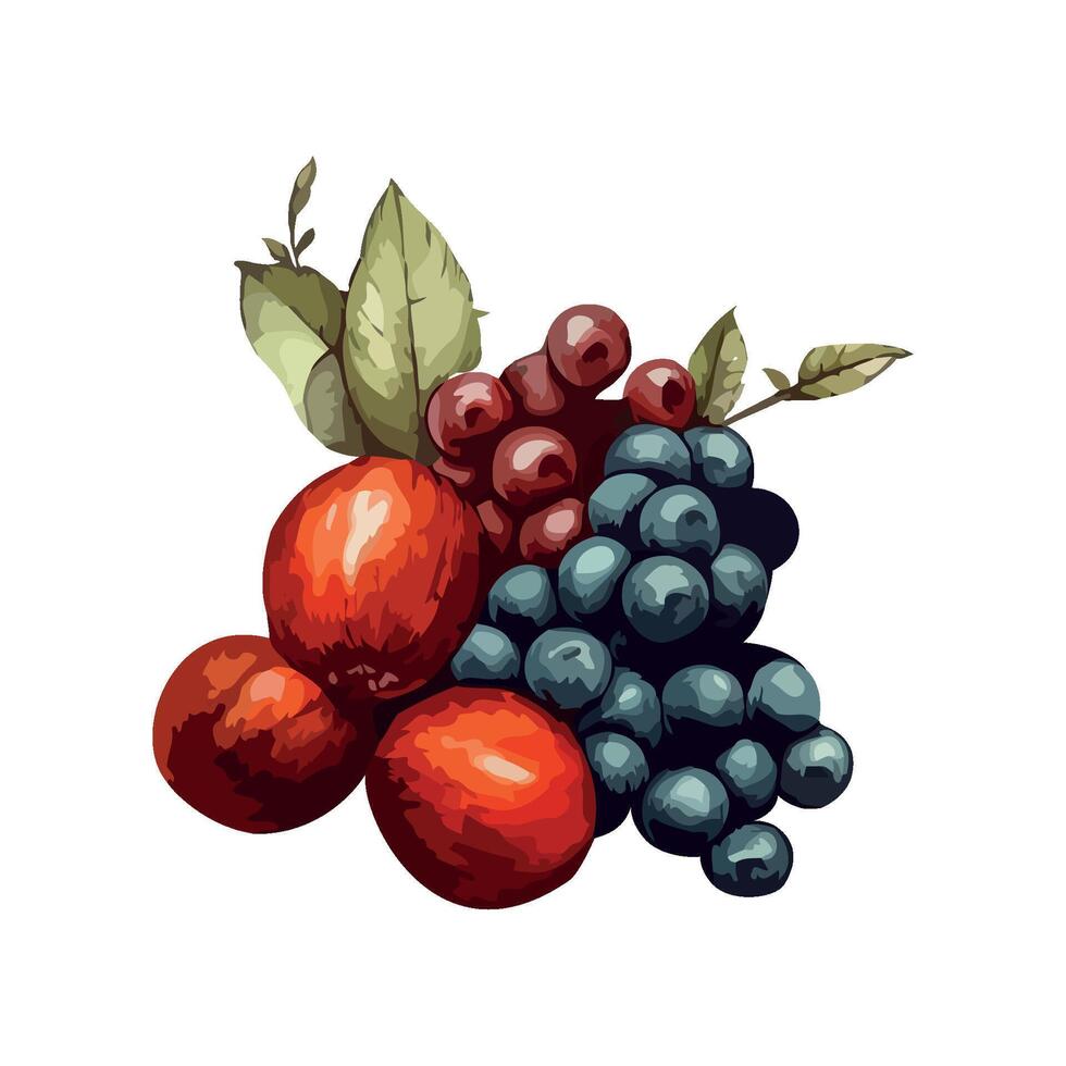 bunch fruits berry fresh and leaf icon isolated vector