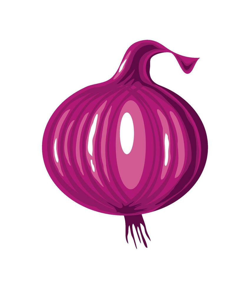 fresh red onion vegetable icon isolated white background vector