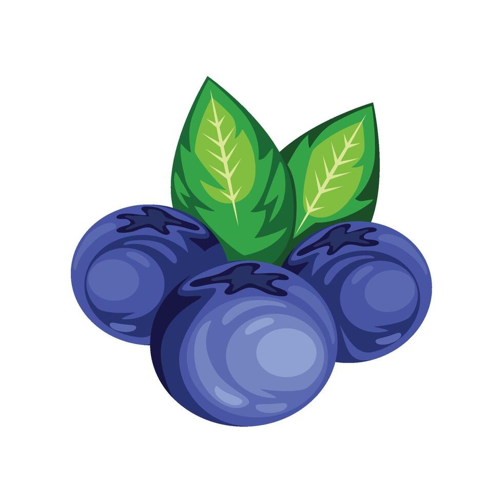 blueberries fruit fresh icon isolated illustration vector