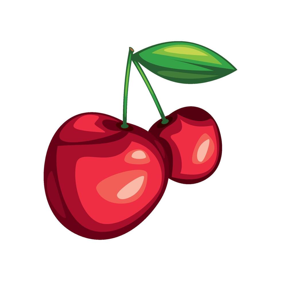 cherry fresh fruit icon isolated vector
