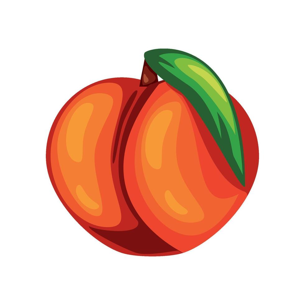 apricot fruit icon isolated illustration vector