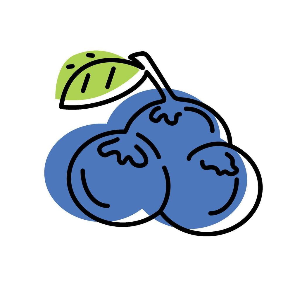 blueberries fruit fresh icon isolated illustration vector
