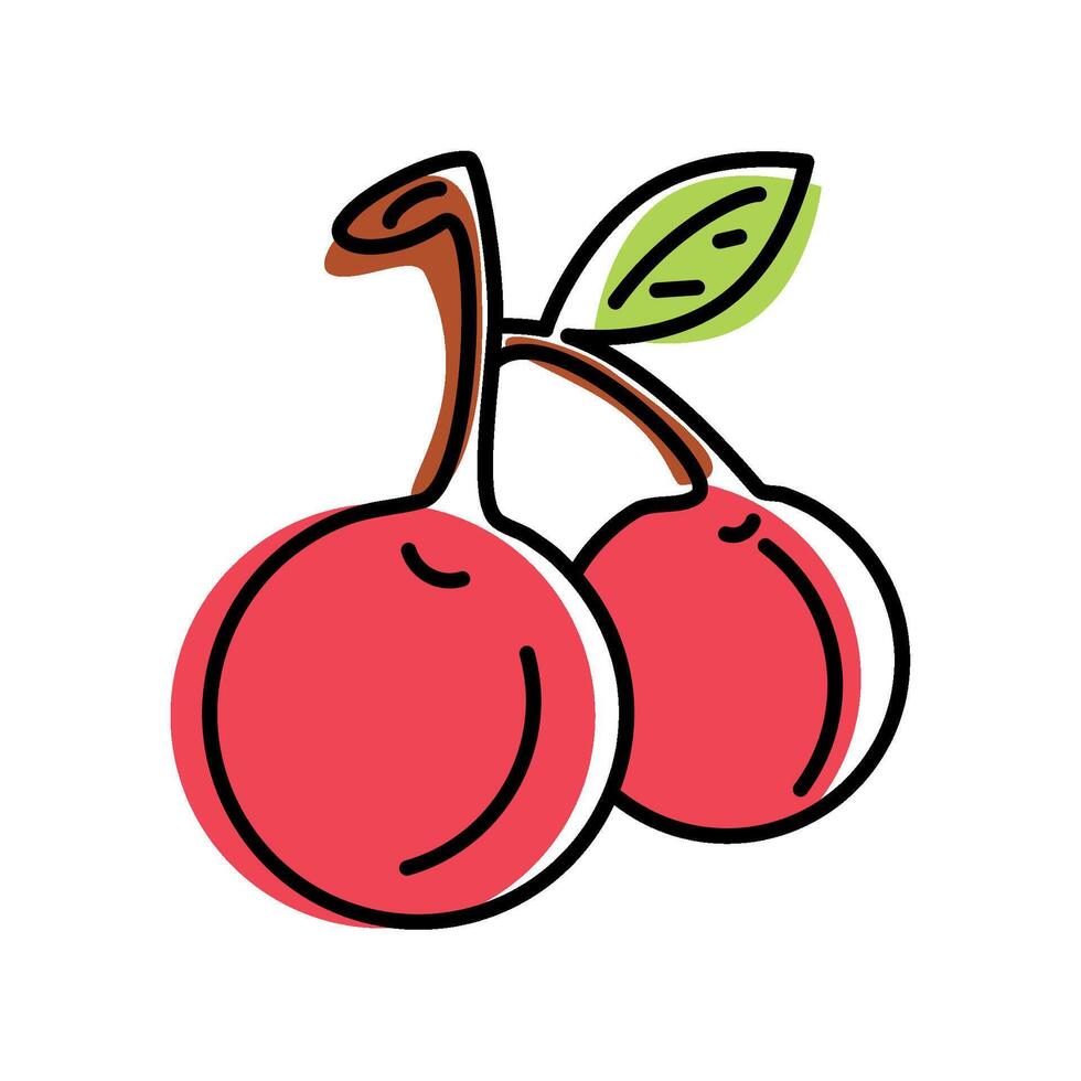 cherry fresh fruit icon isolated vector