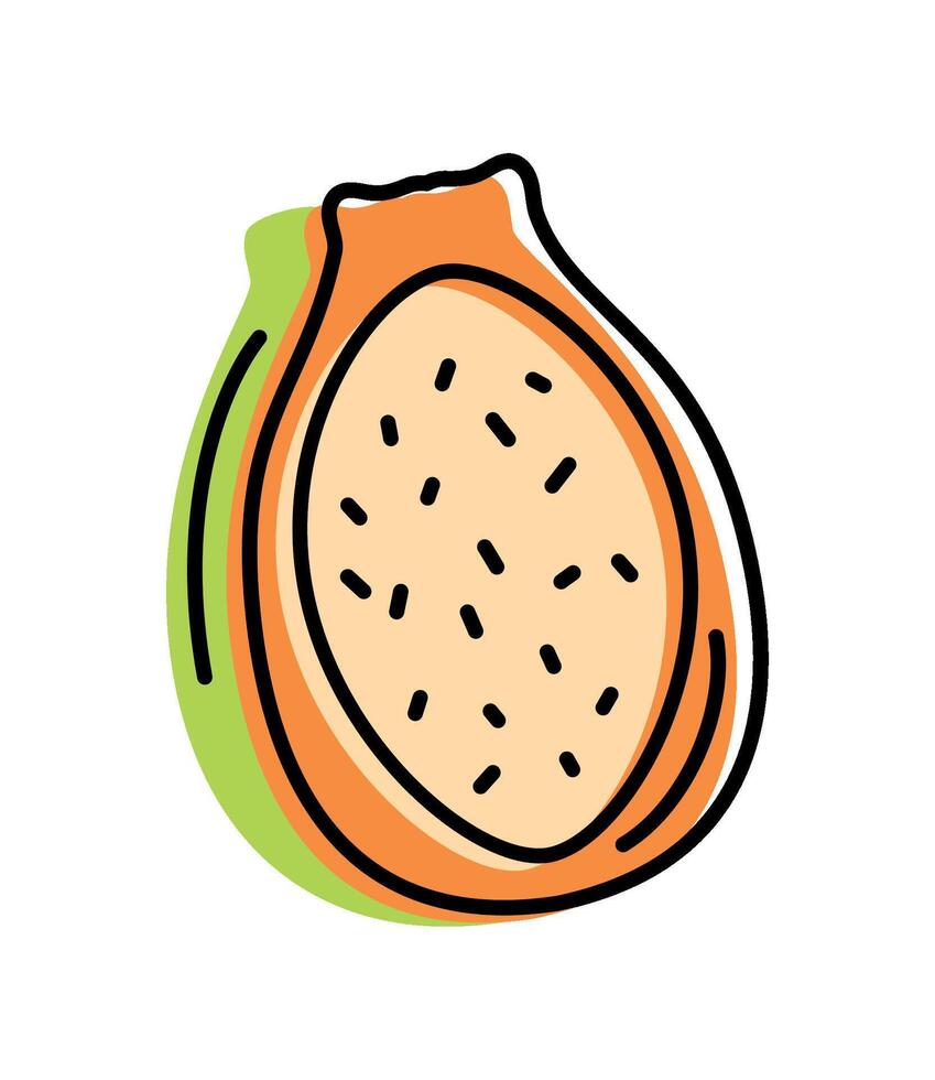 papaya fresh fruit icon isolated vector