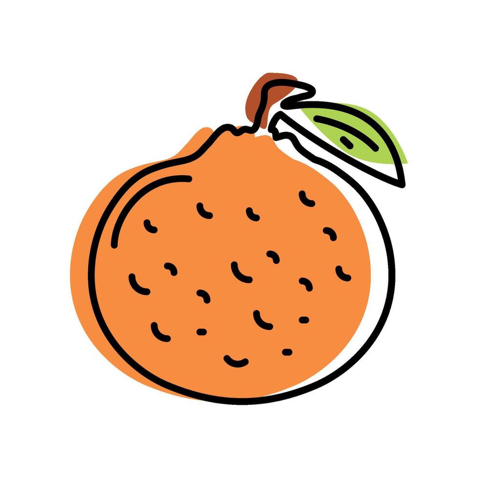 grapefruit fresh icon isolated illustration vector