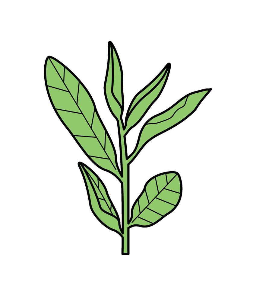leaves tree icon isolated illustration vector