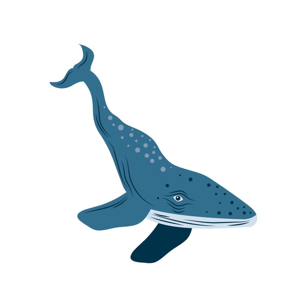 humpback sealife icon isolated vector