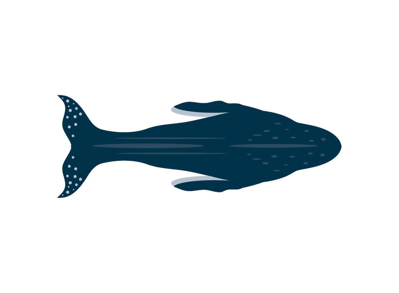 humpback sealife big isolated icon vector