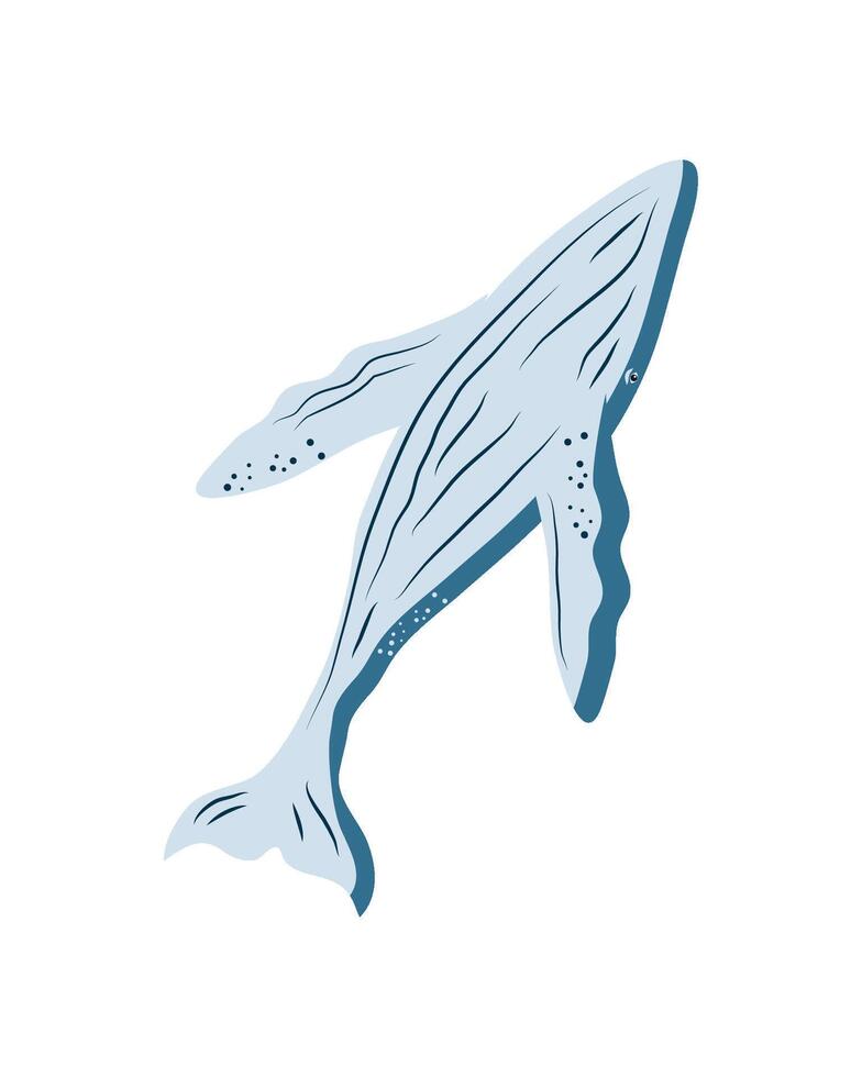 humpback sealife aquatic isolated icon vector