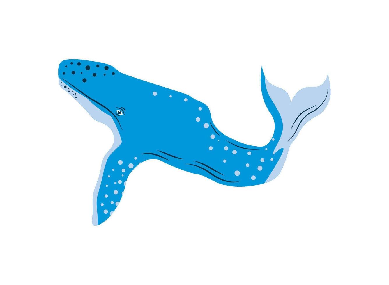 humpback sealife illustration icon isolated vector