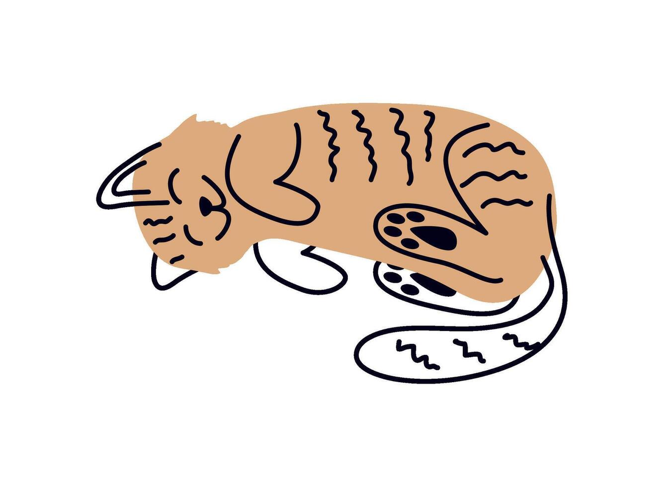cat mascot character isolated illustration vector