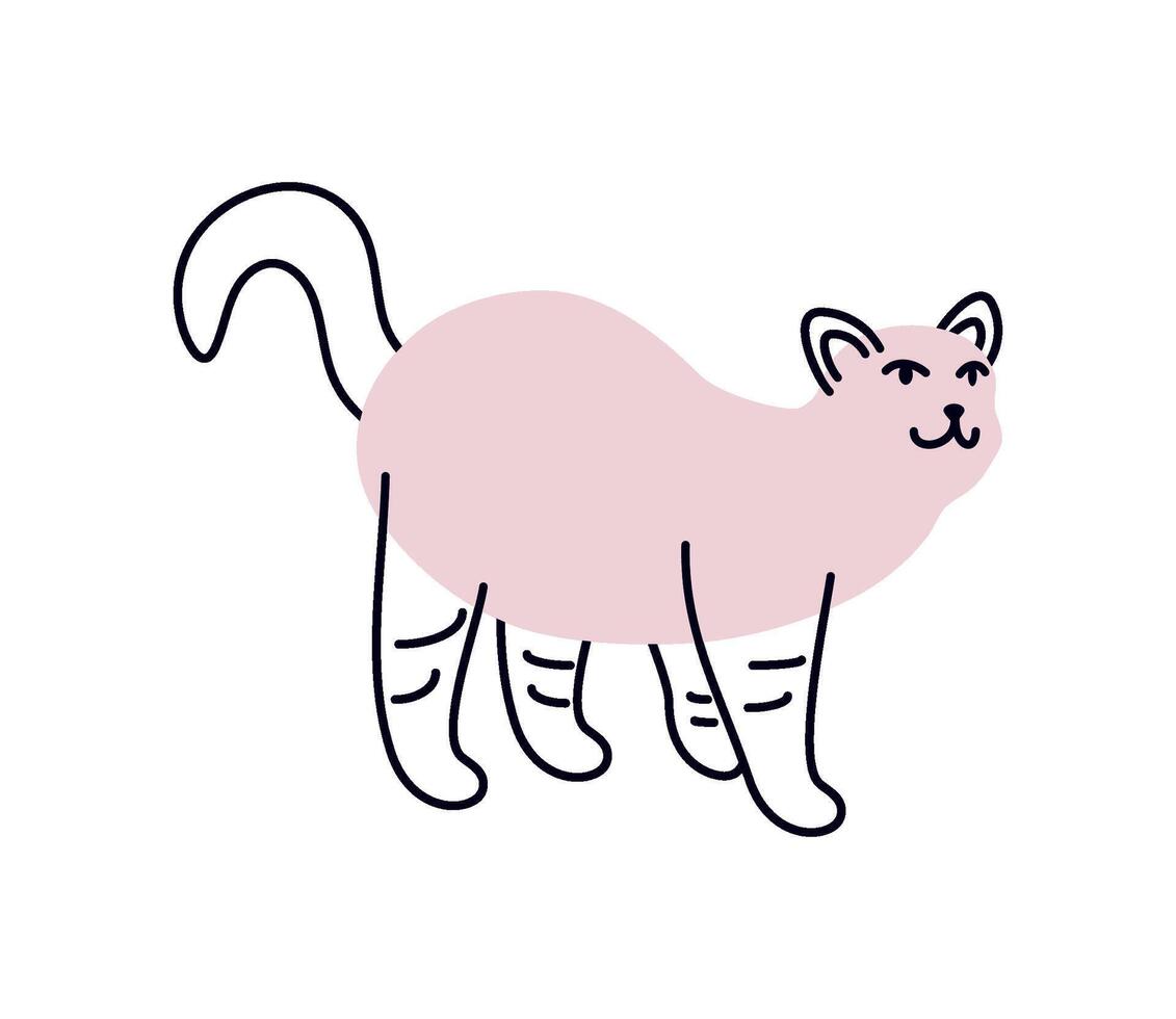 cat mascot animal funny illustration isolated vector