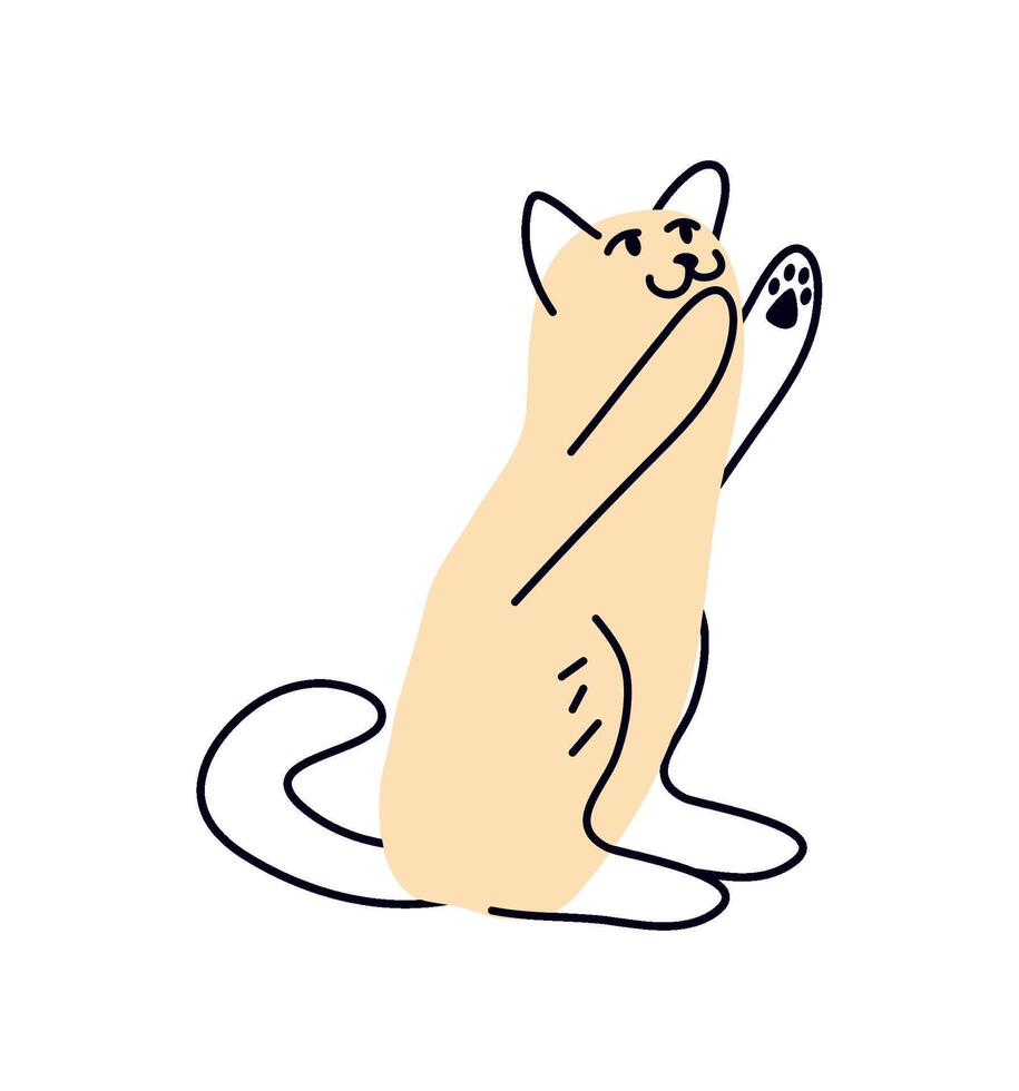 cat mascot cartoon isolated illustration vector