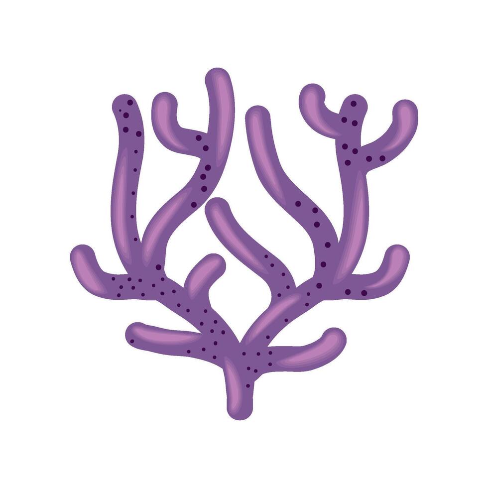 sea life coral illustration isolated vector