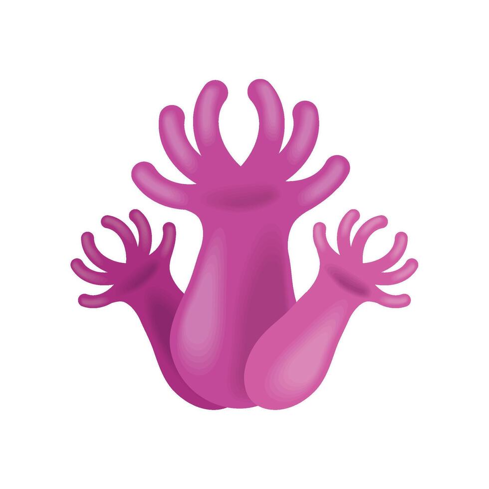 sea life anemone isolated illustration vector