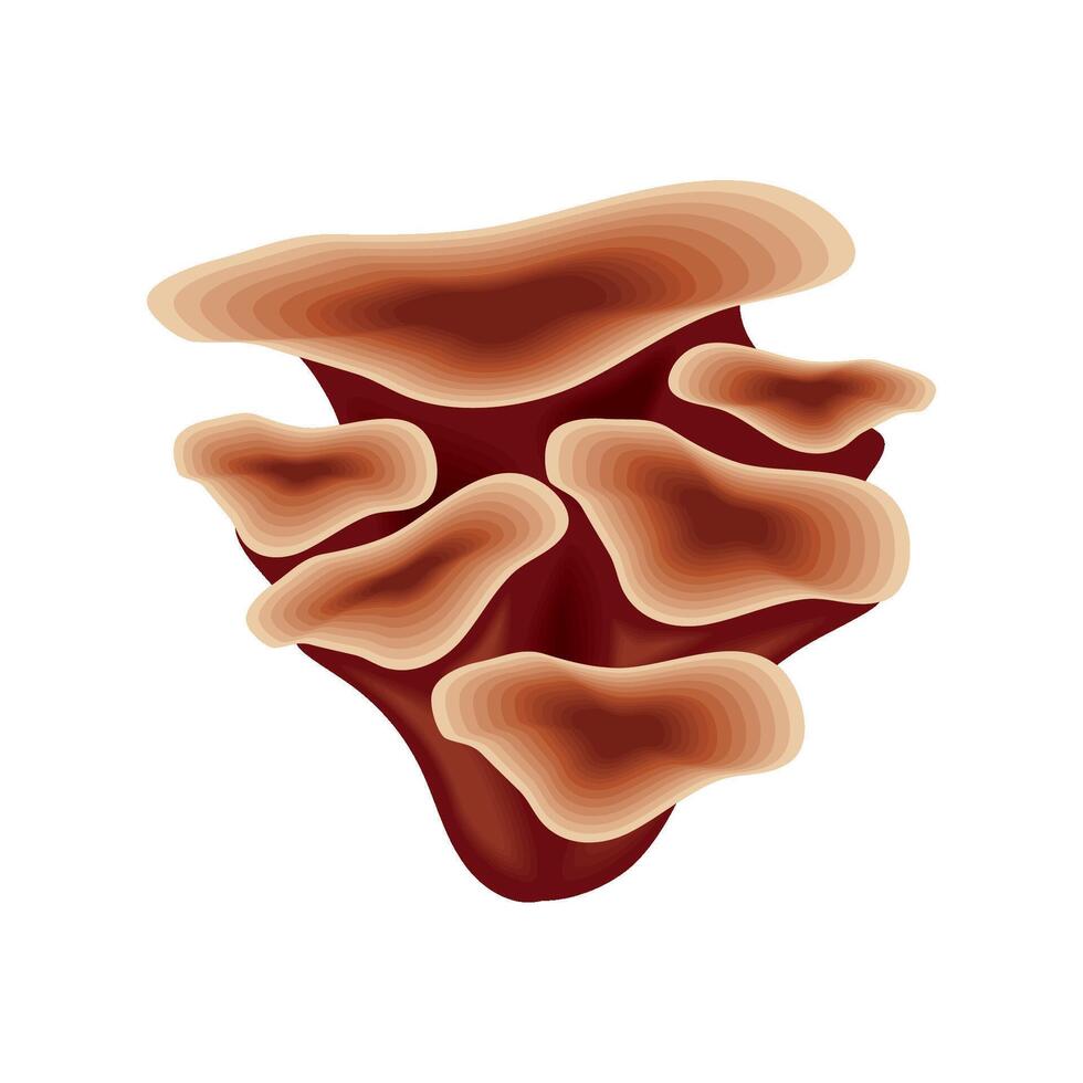 coral sea life isolated design vector