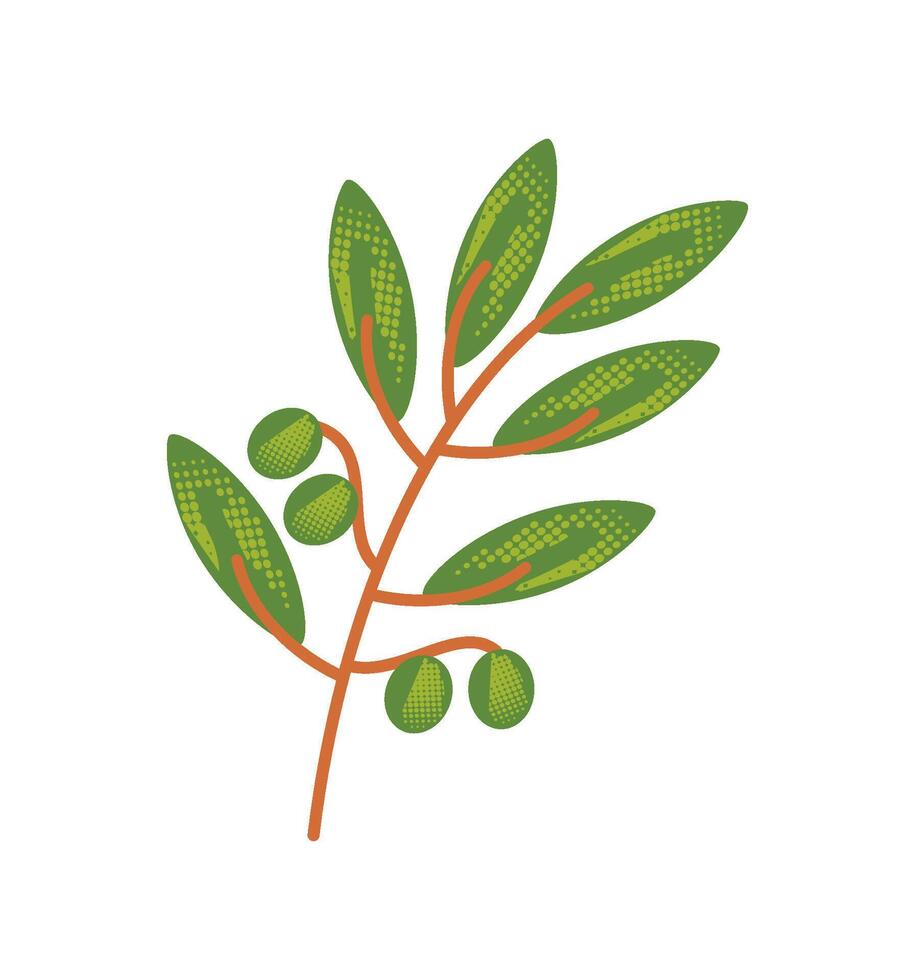 olive branch and leaves illustration vector
