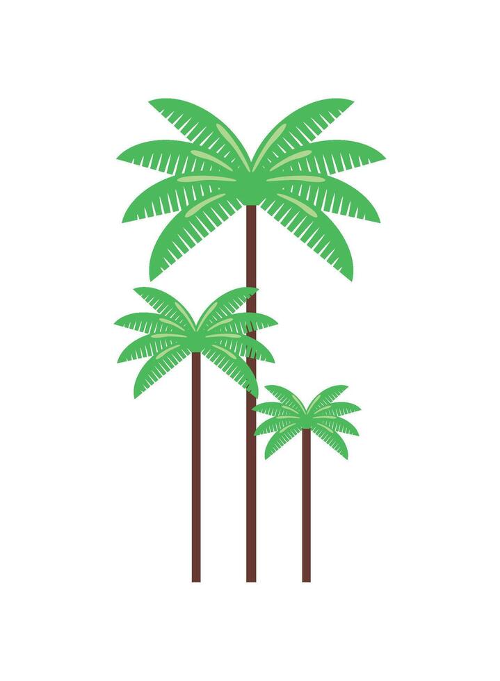 colombia wax palm del quindio illustration isolated vector